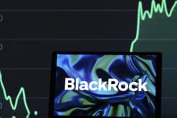 BlackRock's Mutual Fund Accounting Inflated Fees, Suit Says
