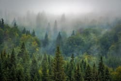 Conifer Infrastructure Partners speeds to $900m hard cap debut fund close