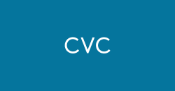 CVC Private Wealth - 2026 Private Equity and Credit Outlook - Half-Year Review - cvc.com