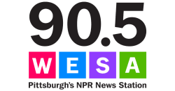 Deluzio tosses flag on private equity's role in youth sports - 90.5 WESA