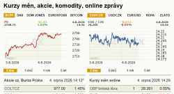 Europe’s venture capital gap and the financing of high-growth firms - Kurzy.cz