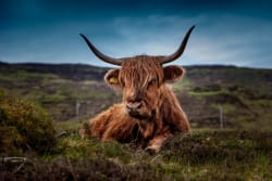 Highland Europe raises record €1.1bn Fund VI after year of strong exits