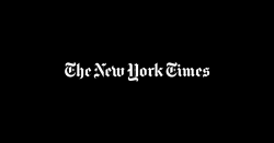 People Love to Hate This Fake Private Equity Guy - The New York Times