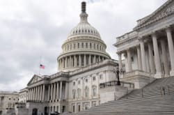 Rep. Steve Cohen draws younger, far-left challenger hostile to Israel in primary - jewishinsider.com
