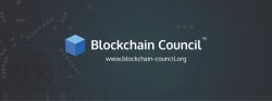 Roubini Blockchain Investment Token Explained - Blockchain Council