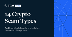 14 Crypto Scam Types (and How Blockchain Forensics Helps Detect and Disrupt Them) | TRM Blog - trmlabs.com