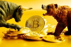 44% of Bitcoin Investor Positions Are in the Red: How Will We Know When the Bear Market Is Over? - cryptonews.net