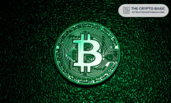 50 Countries Expand Bitcoin Access Since 2020 as Global Adoption Accelerates: River - Cryptonews.net