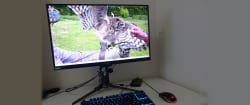 Acer Predator XB273U F5 27-inch QHD 360 Hz gaming monitor review: Utilizing G-Sync Pulsar to deliver phenomenal blur reduction - Tom's Hardware