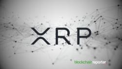 Are XRP and Cardano Losing Relevance? Mike Novogratz Explains Key Indicators as Crypto Investors Move Beyond Hype, Seek Real Utility - mexc.com