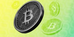 Bitcoin 'Boom-Bust' Era Is Over as Institutions Take the Lead: WisdomTree - Decrypt
