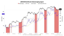 Bitcoin Futures Flush 31% Of Open Interest As Bottom Thesis Takes Shape - TradingView