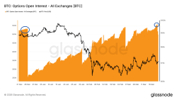 Bitcoin futures, options market flash caution even as BTC ch - KuCoin