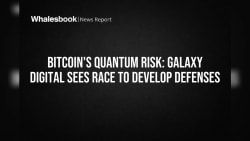 Bitcoin's Quantum Risk: Galaxy Digital Sees Race to Develop Defenses - Whalesbook