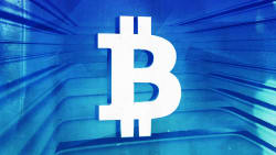 Bitwise CIO reiterates bitcoin price could reach $1 million as he compares it to gold - theblock.co