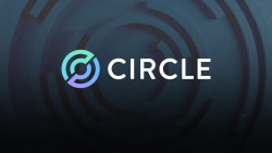 Bitwise sees Circle worth $75 billion by 2030 as analysts defend stock after selloff - theblock.co