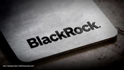 BlackRock reveals how to ensure hedge funds don’t end up as losers - IDNFinancials.com