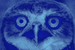 Blue Owl Anxiety Rattles $1.8 Trillion Private Credit Market - Bloomberg