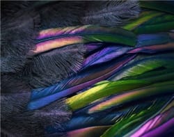 California VC Diversity Reports Due April 1, 2026 - Dentons