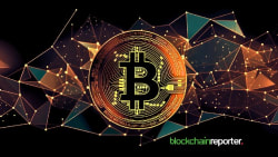 Corporate Bitcoin Treasuries Surge as 151 Firms Hold Over $74 Billion - cryptonews.net