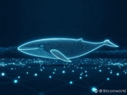 Crypto Whale’s $180M HYPE Purchase Via Galaxy Digital Reveals Stunning Institutional Confidence - Binance