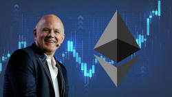 Ethereum (ETH) Price: Mike Novogratz Calls $4,000 Target as Institutions Load Up - CoinCentral
