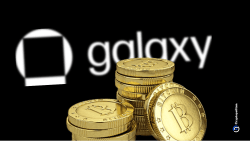 Galaxy Digital prepares for Q1 result filing with lowered expectations - Cryptopolitan