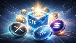 Hashdex Nasdaq ETF Expands Holdings to Seven Crypto Assets - CoinCentral