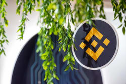 Hedge Fund Executives Eye $100 Million to Accumulate BNB Token - Bloomberg.com