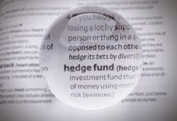 Hedge funds surge with highest quarterly return in 4 years, but correlation concerns emerge - pionline.com