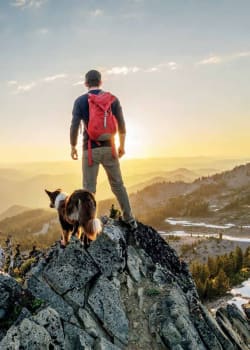 How shared service platforms add value to Private Equity (PE) firms - EY