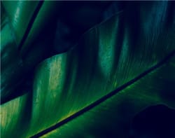 It’s Alive! The CFTC Breathes New Life into QEP Exemption - Dentons