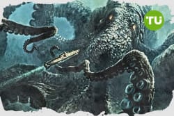Kraken launches new crypto investment format with STS Digital - Traders Union