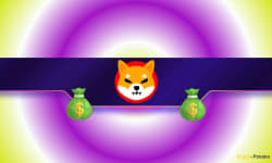 Making 48,000x Return on Shiba Inu (SHIB) Investment: Lucky Trader’s Crazy Story - CryptoPotato