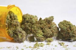 Medical Cannabis vs. Recreational Cannabis Stocks: What's the Difference? - Investopedia
