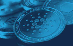 Navigating the Crypto Market Evolution with Cardano, Chainlink and Stellar Futures - cmegroup.com
