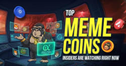 Next 100x Crypto: Top 10 Coins in Crypto Bull Runs Shift as APEMARS - openPR.com