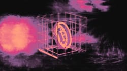 'Rally on trial': Bitcoin breakout faces key $80,000 test as whales, ETF investors buy into volatility - The Block