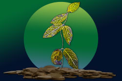 Rethinking Risk: Why Pension Funds Are Betting on Alternative Assets - Harvard Business School