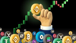 STS Digital raises $30 million, targets institutional crypto options platform - 디지털투데이