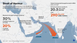 The Strait of Hormuz Closure and Wider Economic Shock