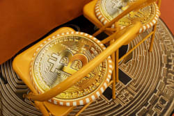 The Uneven Toll of Crypto’s Latest Slide Falls on Retail Investors - Bloomberg.com