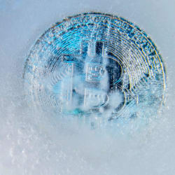 To Survive the Crypto Winter, Remember Why You Bought Bitcoin in the First Place - Barron's