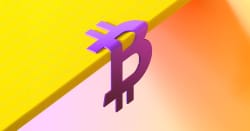 VanEck Crypto Monthly Recap for November 2025 - vaneck.com