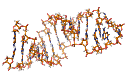 Atrium Therapeutics Launches With $270M for RNA Therapies Addressing Rare Cardio Conditions