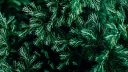 Evergreen secondary funds set to dominate private wealth marketplace