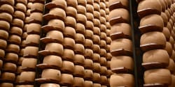 Italy’s $4.7 billion cheese economy is feeling the heat as climate change threatens its cheese banks that hold Parmigiano wheels as loan collateral