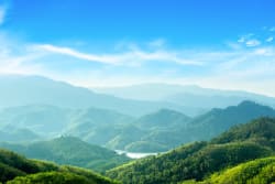 Sustainable Investing in Focus: Innovating for Resilience
