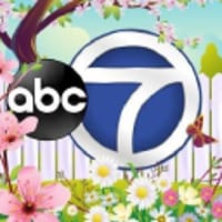 Pig butchering: Bay Area widow loses nearly $1M in crypto scheme, ChatGPT alerts her to scam - ABC7 San Francisco