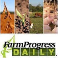 Crop ratings and satellite data paint different yield pictures - Farm Progress